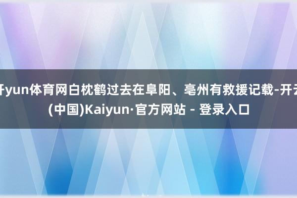 开yun体育网白枕鹤过去在阜阳、亳州有救援记载-开云(中国)Kaiyun·官方网站 - 登录入口