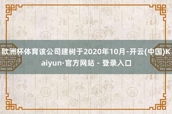 欧洲杯体育该公司建树于2020年10月-开云(中国)Kaiyun·官方网站 - 登录入口