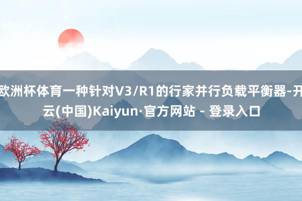 欧洲杯体育一种针对V3/R1的行家并行负载平衡器-开云(中国)Kaiyun·官方网站 - 登录入口