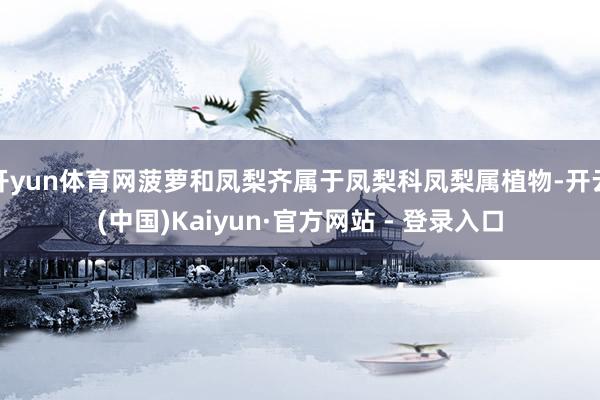 开yun体育网菠萝和凤梨齐属于凤梨科凤梨属植物-开云(中国)Kaiyun·官方网站 - 登录入口