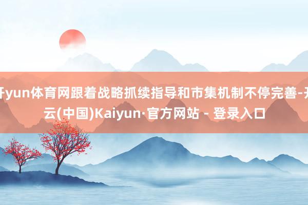 开yun体育网跟着战略抓续指导和市集机制不停完善-开云(中国)Kaiyun·官方网站 - 登录入口