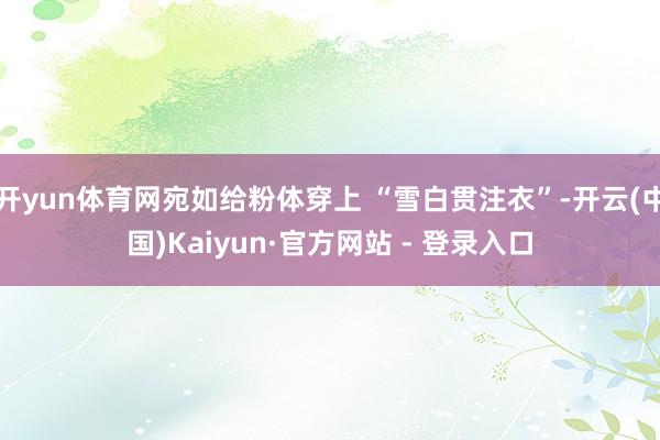 开yun体育网宛如给粉体穿上 “雪白贯注衣”-开云(中国)Kaiyun·官方网站 - 登录入口